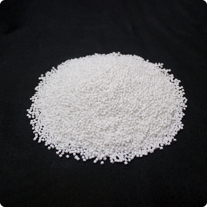 Chip in nylon 6